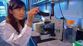 Hawaii Mesothelioma Researcher Makes Exciting New Discoveries