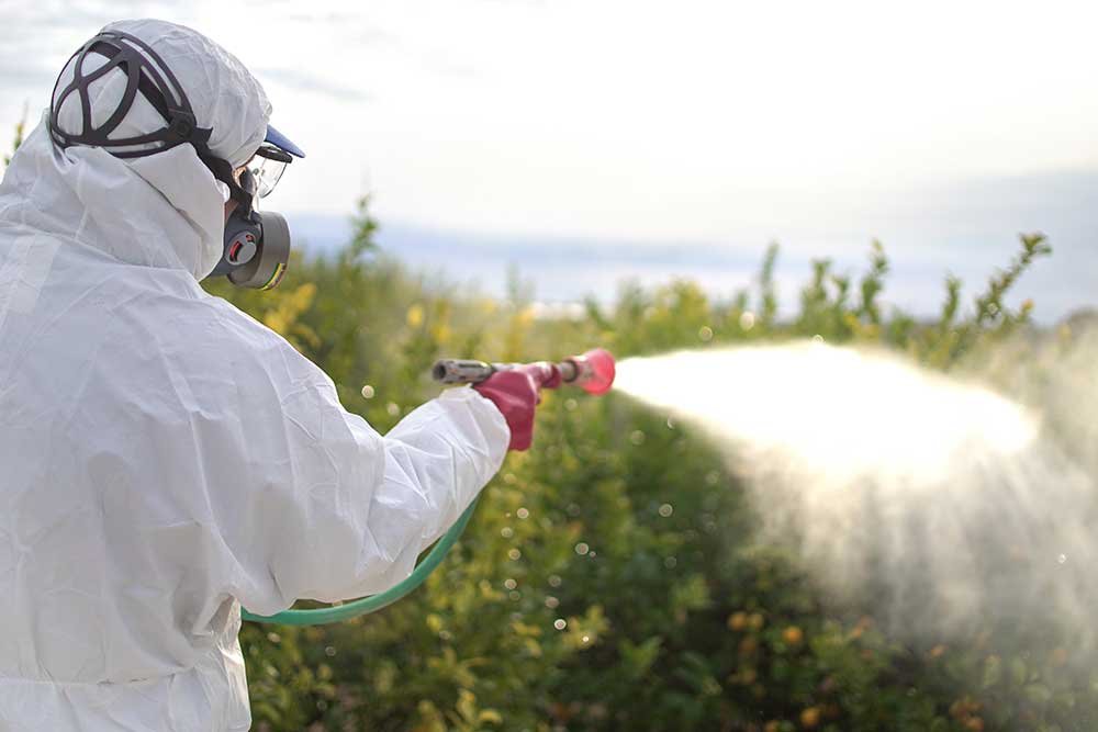 Pesticides Linked to Climate Change, Despite Declining Efficacy